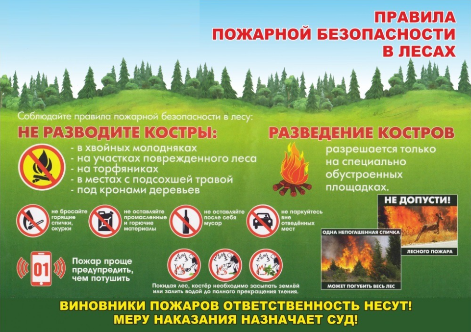 Правил пожарной безопасности в лесах 2020. Пожарная безопасность в лесах. Правила пожарной безопасности в лесу. Требования пожарной безопасности в лесах. Противопожарные мероприятия в лесах.