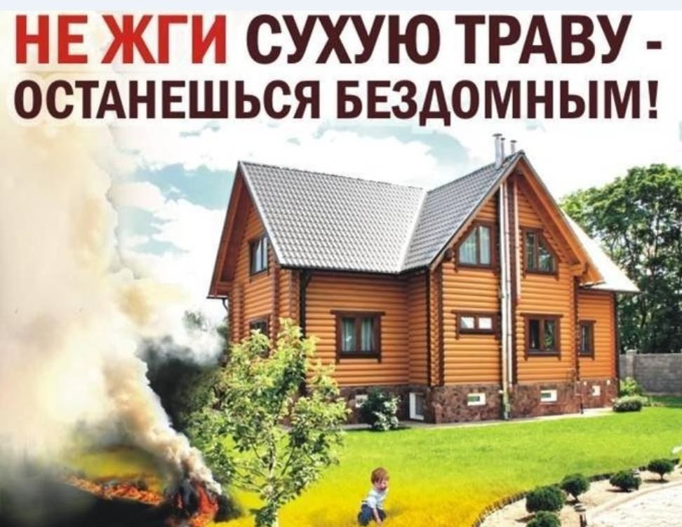 Картинки не жги траву картинки