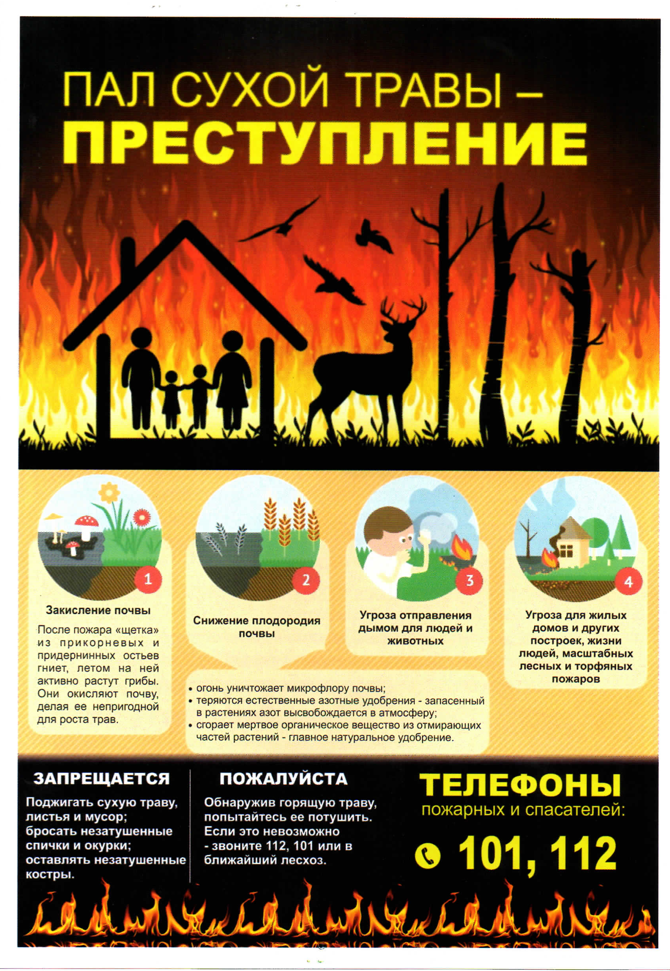 Картинка не поджигайте сухую траву